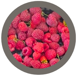 Raspberry (Rubus Idaeus Tulameen)